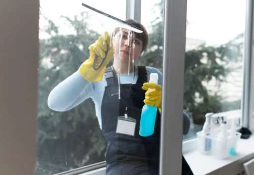 Nettoyage de vitres intérieures et extérieures à Bonnut